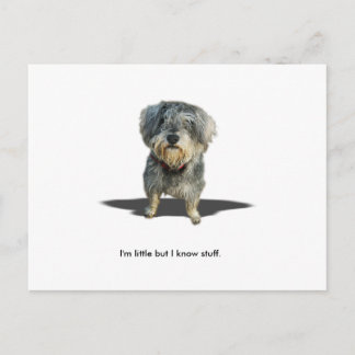 Ik ben weinig maar ik ken materiaal briefkaart