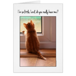 Ik ben zo klein dat je me hoort?