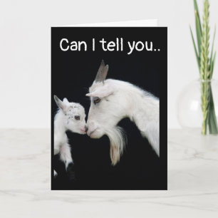 IK BEN ZO **SAD* EN ZO **SORRY* KAART