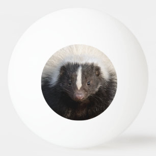 Ik blijf bij pingpong pingpongballen