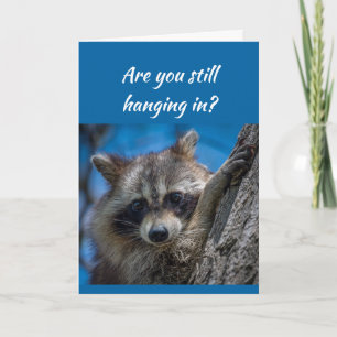 Ik blijf hier hangen voor jou Raccoon Kaart
