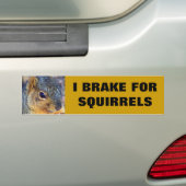 IK BRAK VOOR DE SQUIRRELS BUMPERSTICKER (Op auto)