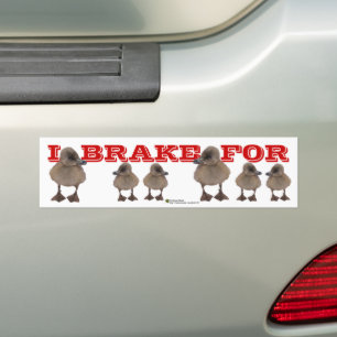 IK BRAKE VOOR Grijze, sonderende Foto gepersonalis Bumpersticker