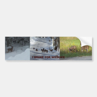 IK BREAK AAN WILDLIFE BUMPERSTICKER