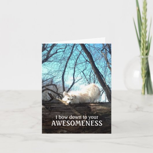 Ik buig neer aan Uw Awesomeness (dank u Kaart) Bedankkaart (Voorkant)