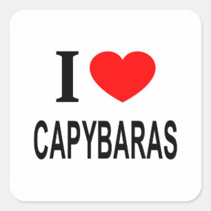 IK ❤️ CAPYBARAS IK HOU VAN CAPYBARAS IK HART CAPYB VIERKANTE STICKER