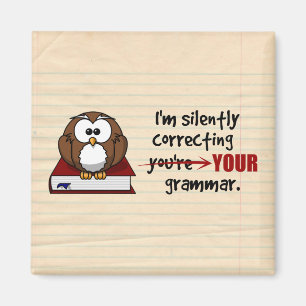 Ik corrigeer je Grammar Sarcastic Owl Magneet