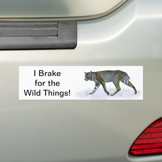 Ik daag uit voor de wilde dingen. Bobcat Bumpersticker (Op auto)