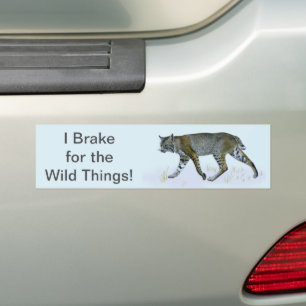 Ik daag uit voor de wilde dingen. Bobcat Bumpersticker