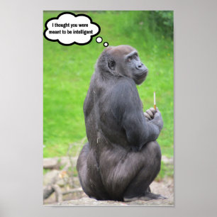 Ik dacht dat jij geacht werd intelligent te zijn. poster