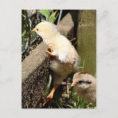 Ik denk dat ik kan briefkaart (Voorkant)