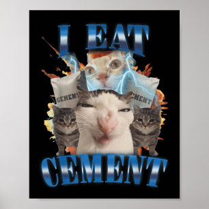 Ik eet cement vervloekte kat grappig vreemd specif poster