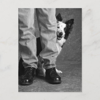 Ik en mijn schaduw - Collie Dog Briefkaart