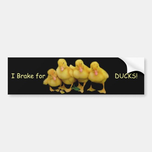 Ik ga voor, DUCKS! Bumpersticker (Voorkant)