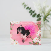 Ik geef geen sjiitische Tzu Briefkaart (Staand voorkant)