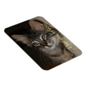 Ik geloof in jullie kat magneet (Rechterzijde)
