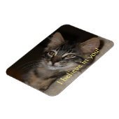 Ik geloof in jullie kat magneet (Linkerzijde)