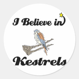 ik geloof in torenvalken ronde sticker