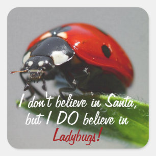 Ik geloof niet in Santa - Ladybug Stickers