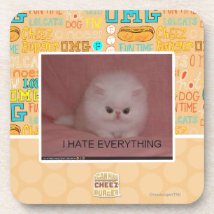 Ik haat alles onderzetter