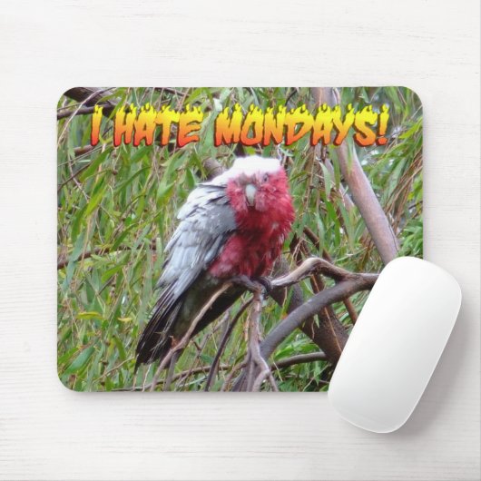Ik haat maandag muismat (Met muis)