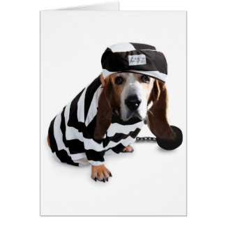 Ik had het niet bedoeld...