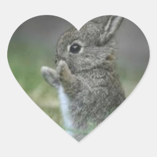 IK HART BUNNYS STICKER