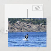 Ik heb alleen Hallo gezegd. Briefkaart (Voorkant / Achterkant)