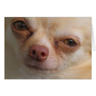 Ik heb alleen maar ogen voor jou