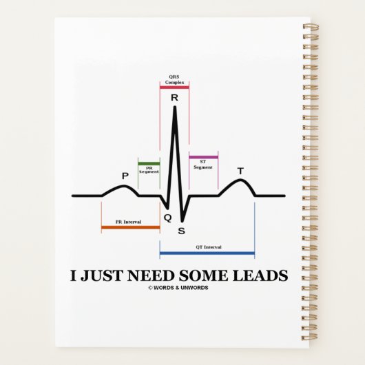 Ik heb alleen maar wat hoofdrolspelers van ECG EKG Planner (Achterkant)