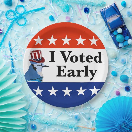 Ik heb begin 2026 gestemd papieren bordje (Feest)