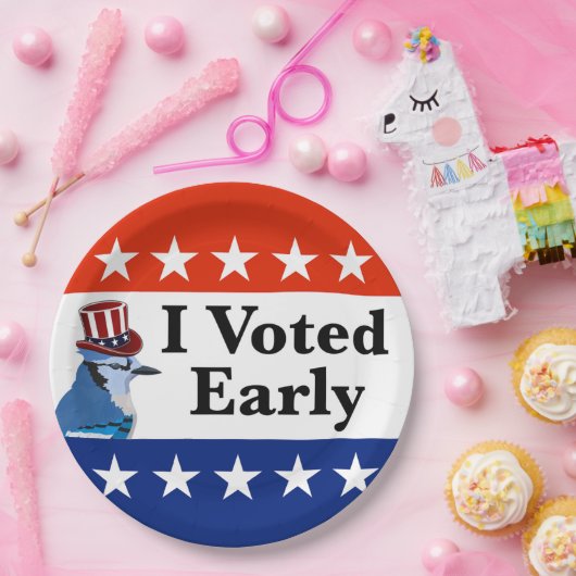 Ik heb begin 2026 gestemd papieren bordje (Feest)