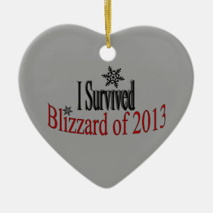 Ik heb Blizzard 2013 Ornament overleefd