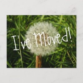 Ik heb briefkaart verplaatst met een foto van Paar