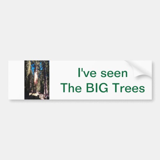 Ik heb de BIG Trees gezien Bumpersticker (Voorkant)