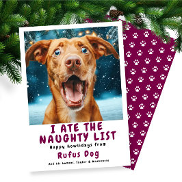 Ik heb de Naughty List Dog kerstfoto opgegeten Feestdagenkaart