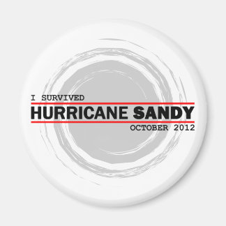 Ik heb de orkaan Sandy overleefd Magneet