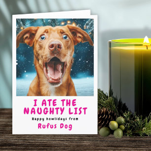 Ik Heb De Stoute Lijst Hond Kerst Foto Feestdagen Kaart