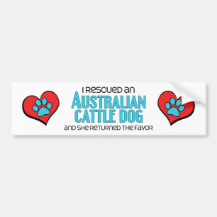 Ik heb een Australische Cattle Dog gered (Vrouweli Bumpersticker