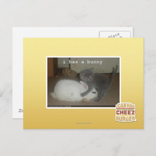 Ik heb een bunny briefkaart (Voorkant / Achterkant)