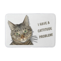 Ik heb een cattitude-probleem.