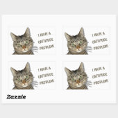Ik heb een cattitude-probleem. rechthoekige sticker (Vel)