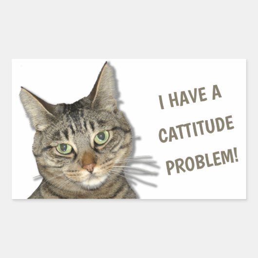 Ik heb een cattitude-probleem. rechthoekige sticker (Voorkant)