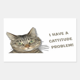 Ik heb een cattitude-probleem. rechthoekige sticker