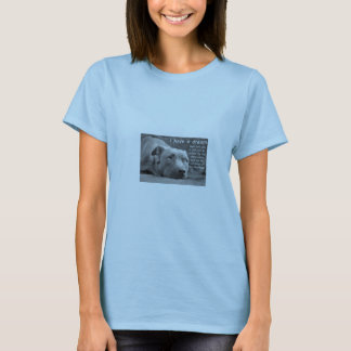 'Ik heb een droomstier'-baby pop T T-shirt