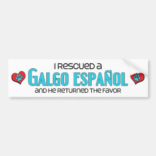 Ik heb een Galgo Español (Mannelijke hond) gered Bumpersticker
