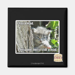 Ik heb een gek magneet