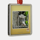 Ik heb een gek metalen ornament (Rechts)