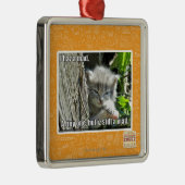 Ik heb een gek metalen ornament (Rechts)