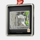 Ik heb een gek metalen ornament (Links)